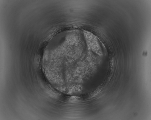 X0000088880222200707061417