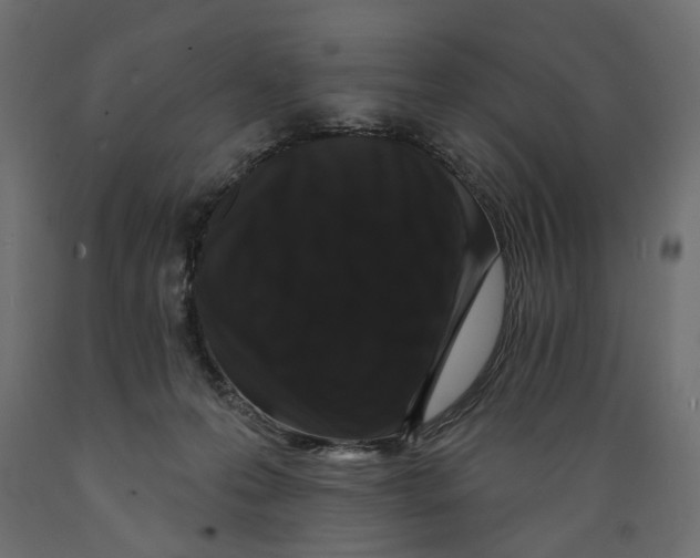 X0000088880223200707061417