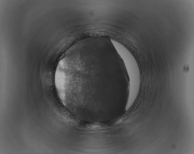 X0000088880224200707061417