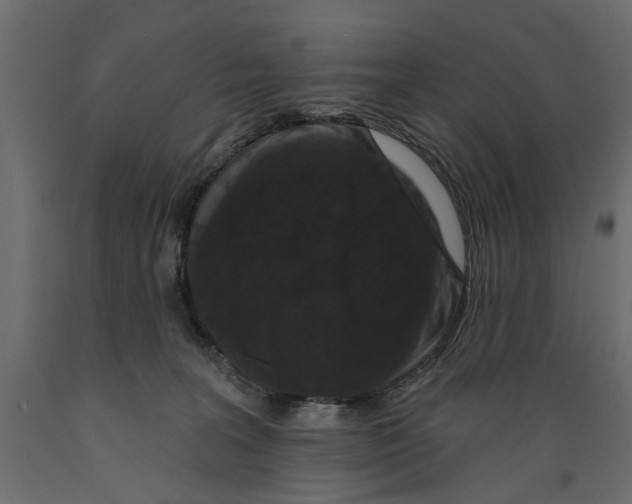 X0000088880227200707061417