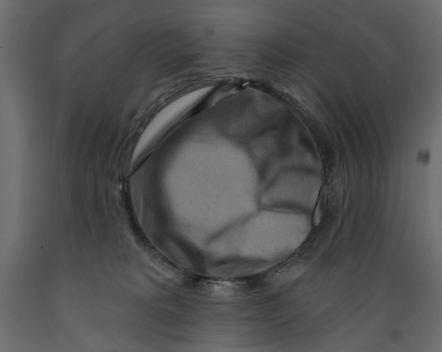 X0000088880229200707061417
