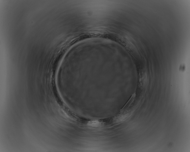 X0000088880231200707061417