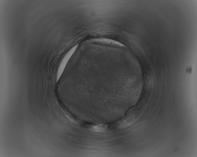 X0000088880232200707061417