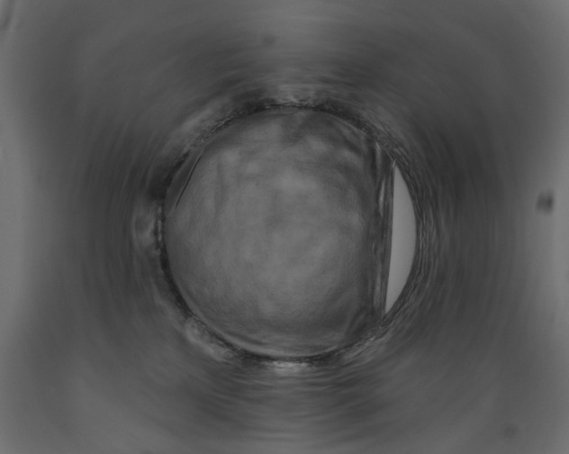 X0000088880233200707061417