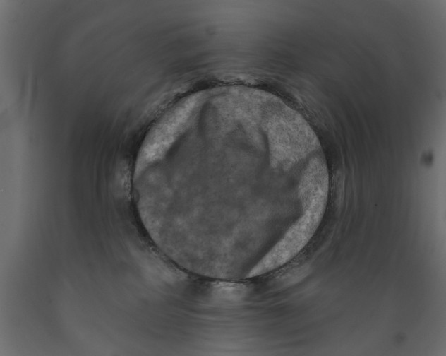 X0000088880234200707061417