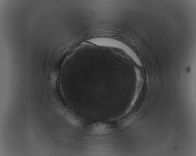 X0000088880235200707061417