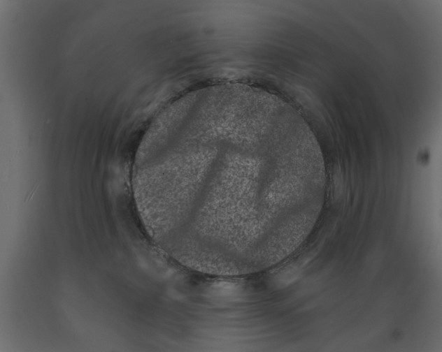 X0000088880236200707061417