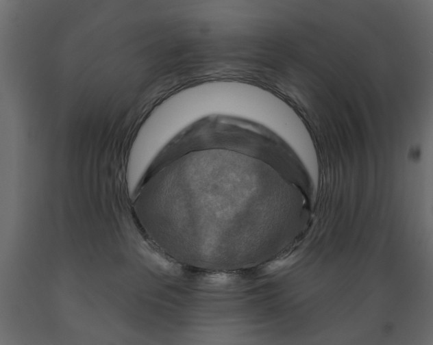 X0000088880237200707061417