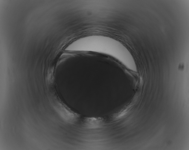 X0000088880239200707061417