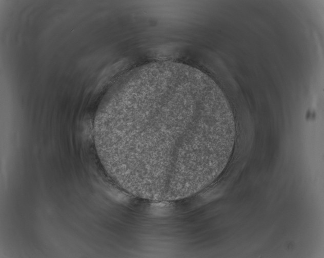 X0000088880240200707061417