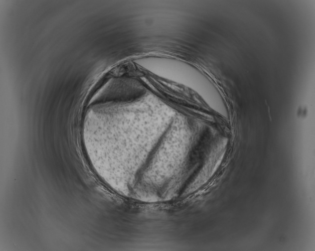 X0000088880241200707061416