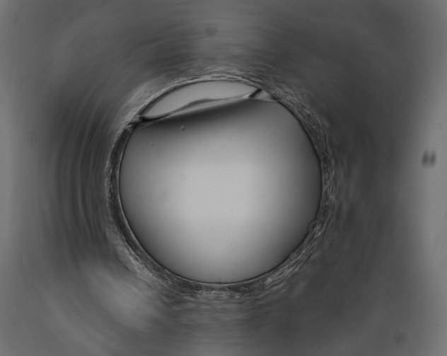 X0000088880242200707061416