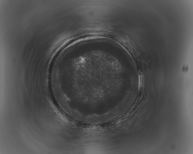 X0000088880243200707061416