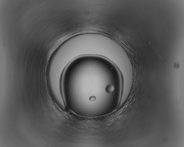 X0000088880244200707061416