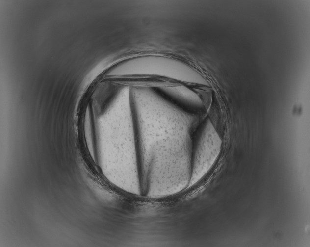 X0000088880246200707061416