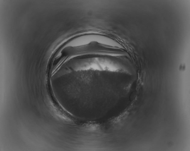 X0000088880247200707061416