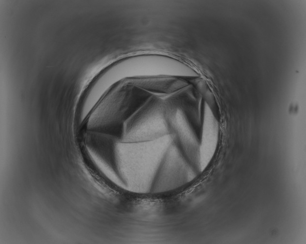 X0000088880248200707061416