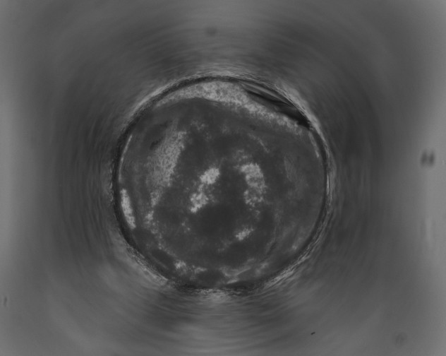 X0000088880249200707061416