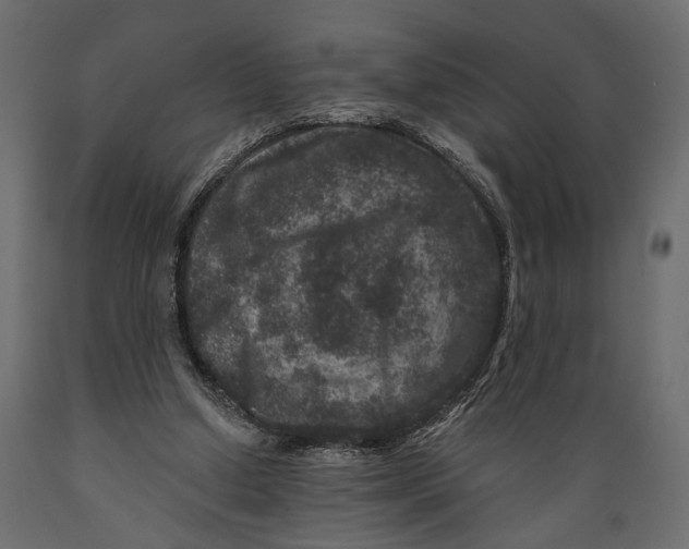 X0000088880250200707061416