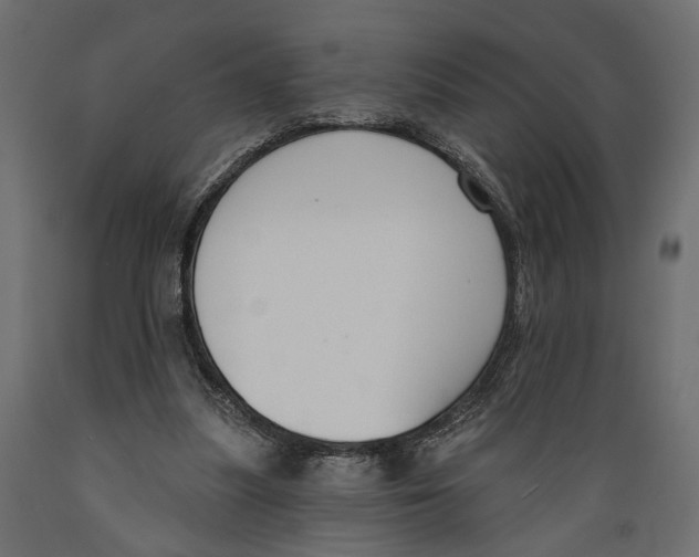 X0000088880251200707061416