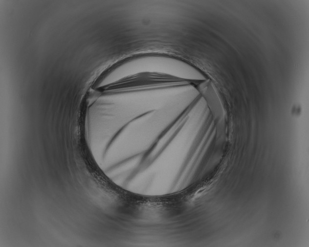 X0000088880252200707061416
