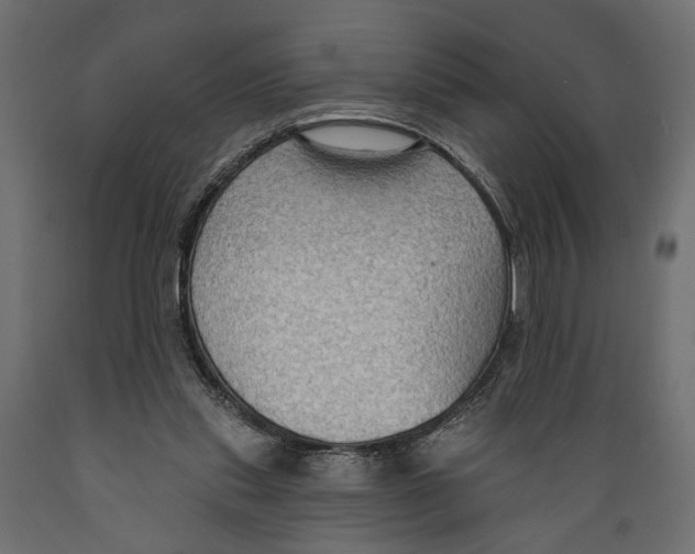 X0000088880253200707061416