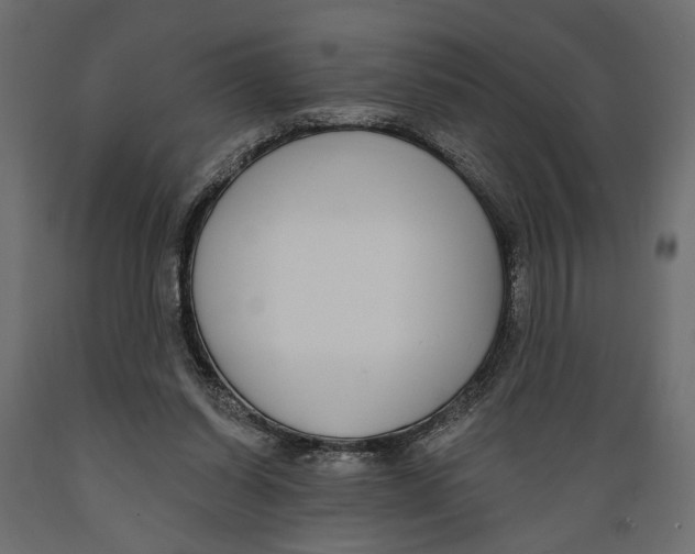 X0000088880254200707061416