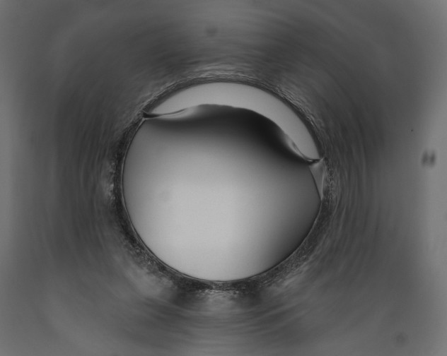 X0000088880255200707061416