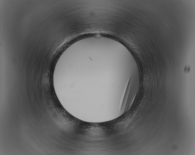 X0000088880256200707061416