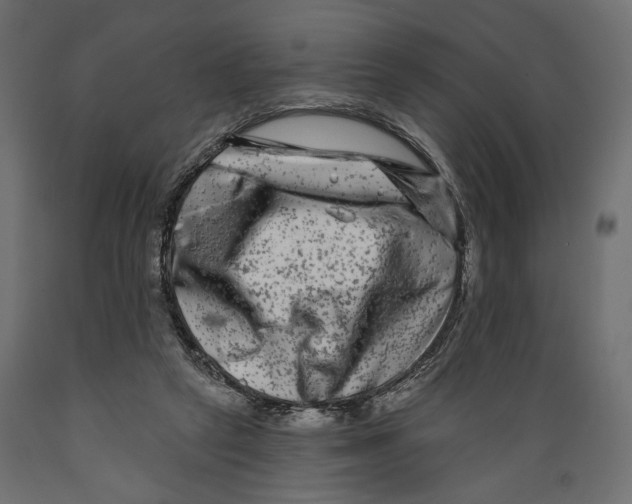 X0000088880257200707061416