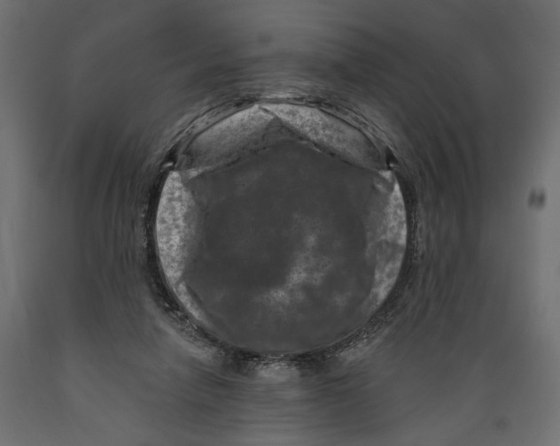 X0000088880258200707061416