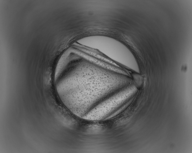 X0000088880259200707061416