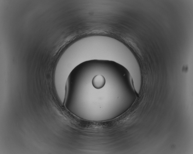 X0000088880260200707061416