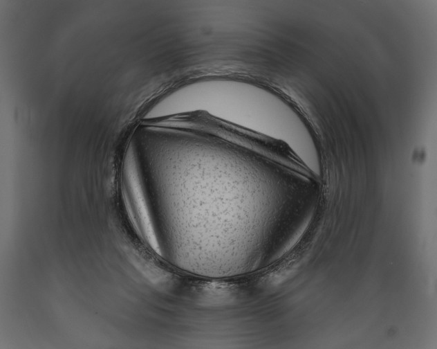 X0000088880261200707061416