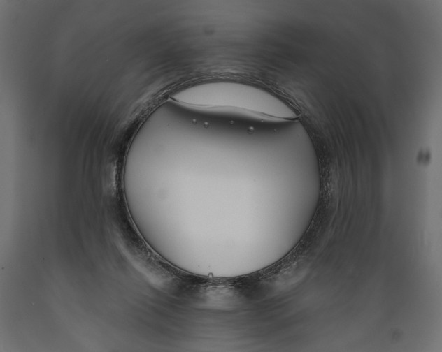 X0000088880262200707061416