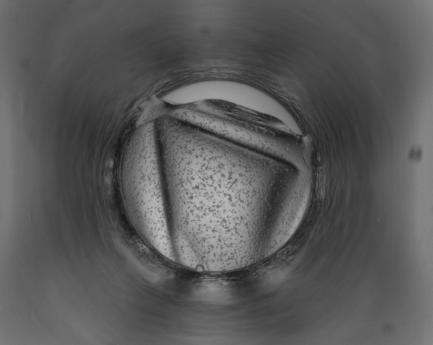 X0000088880263200707061416