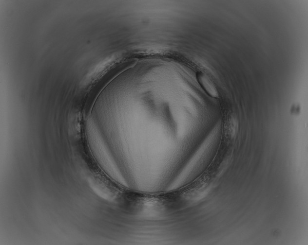 X0000088880264200707061416