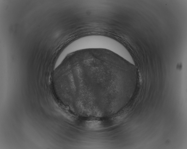 X0000088880266200707061416