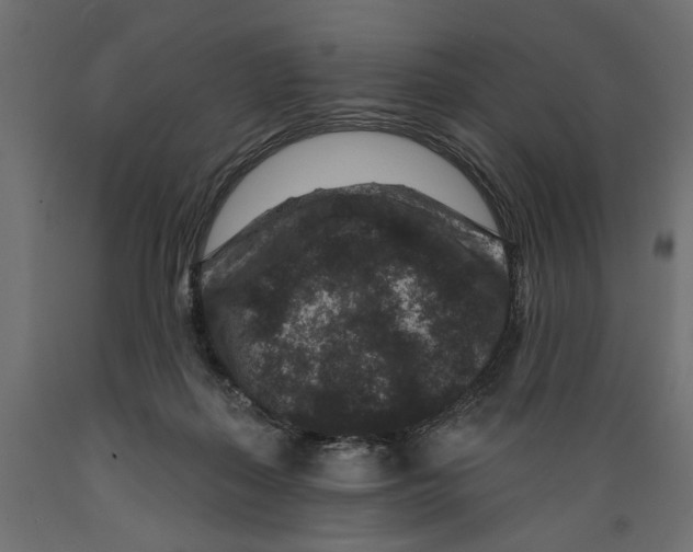 X0000088880267200707061416