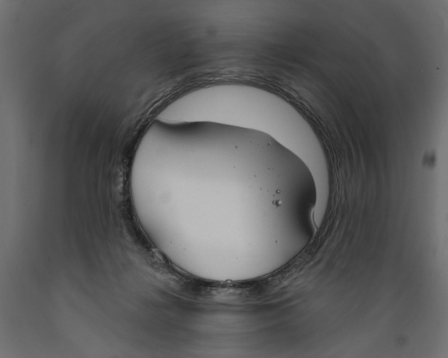X0000088880268200707061416