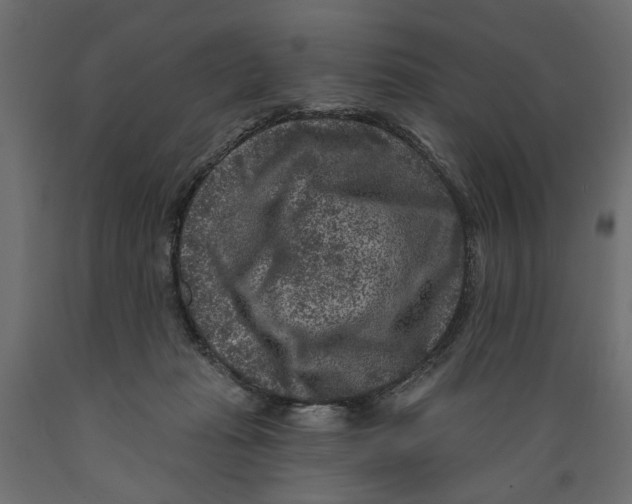 X0000088880269200707061416