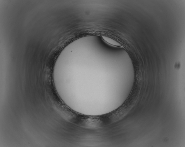 X0000088880270200707061416