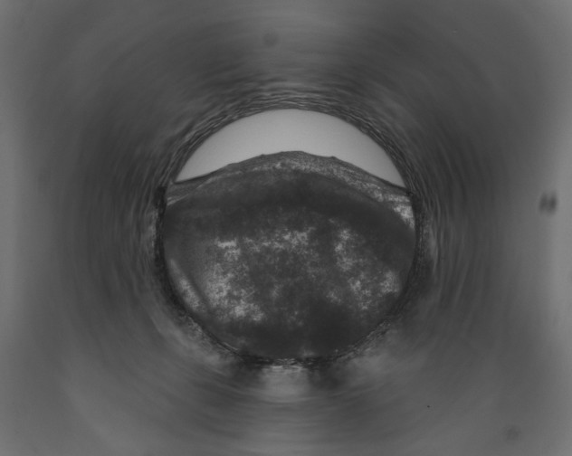 X0000088880271200707061417