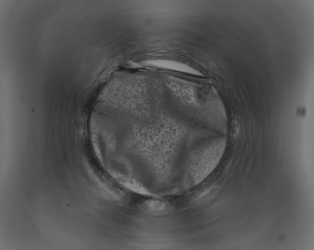 X0000088880272200707061417