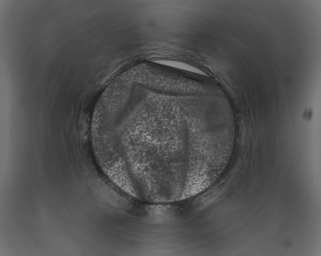 X0000088880273200707061417