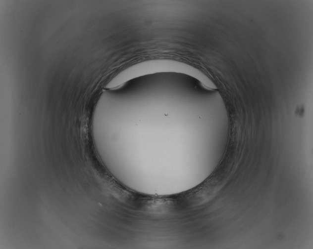 X0000088880274200707061417