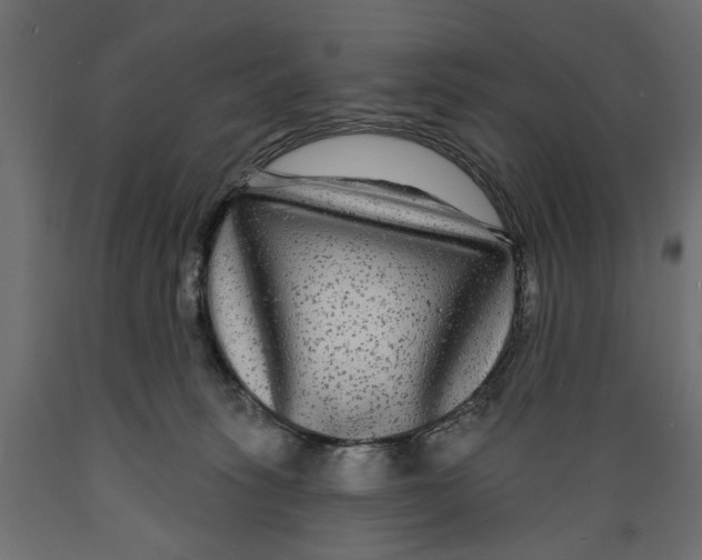 X0000088880275200707061417