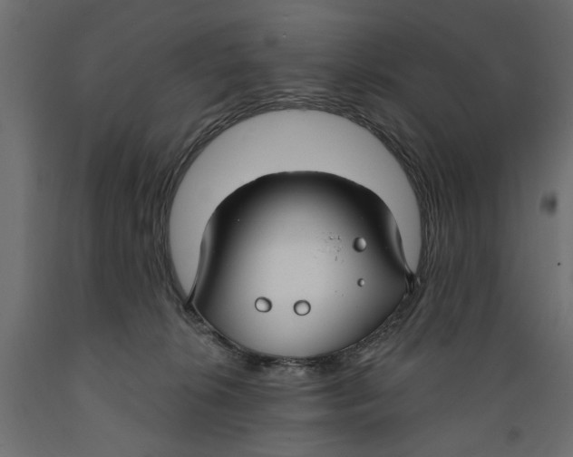 X0000088880276200707061417