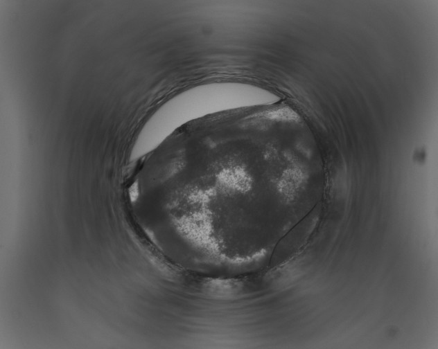 X0000088880277200707061417