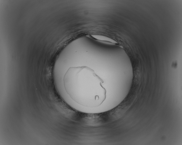 X0000088880278200707061417
